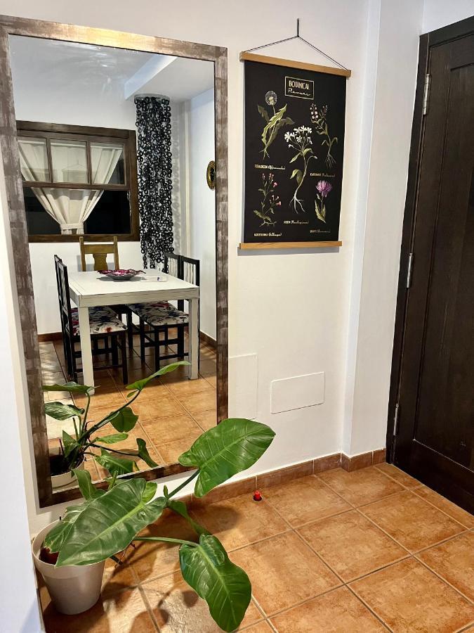 Casa Canleyy لوس يانوس دي أريداني المظهر الخارجي الصورة